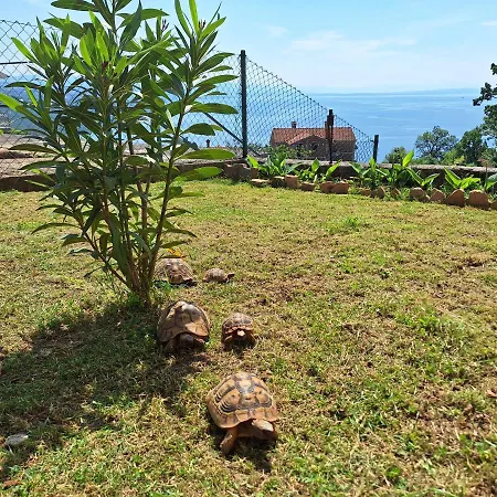 Marini Apartment Opatija